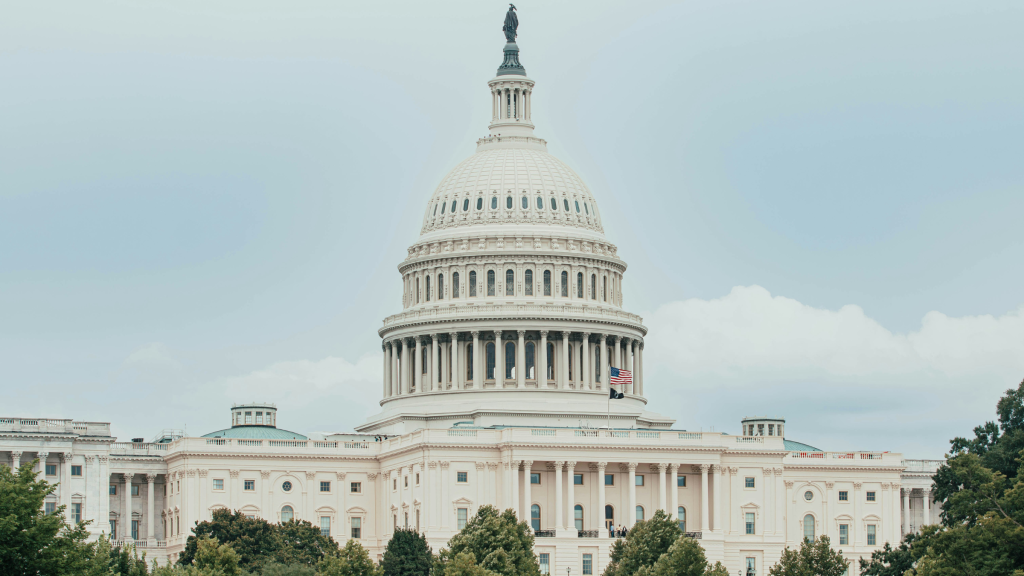 United States Capitol building under a pale sky with trees in the foreground.