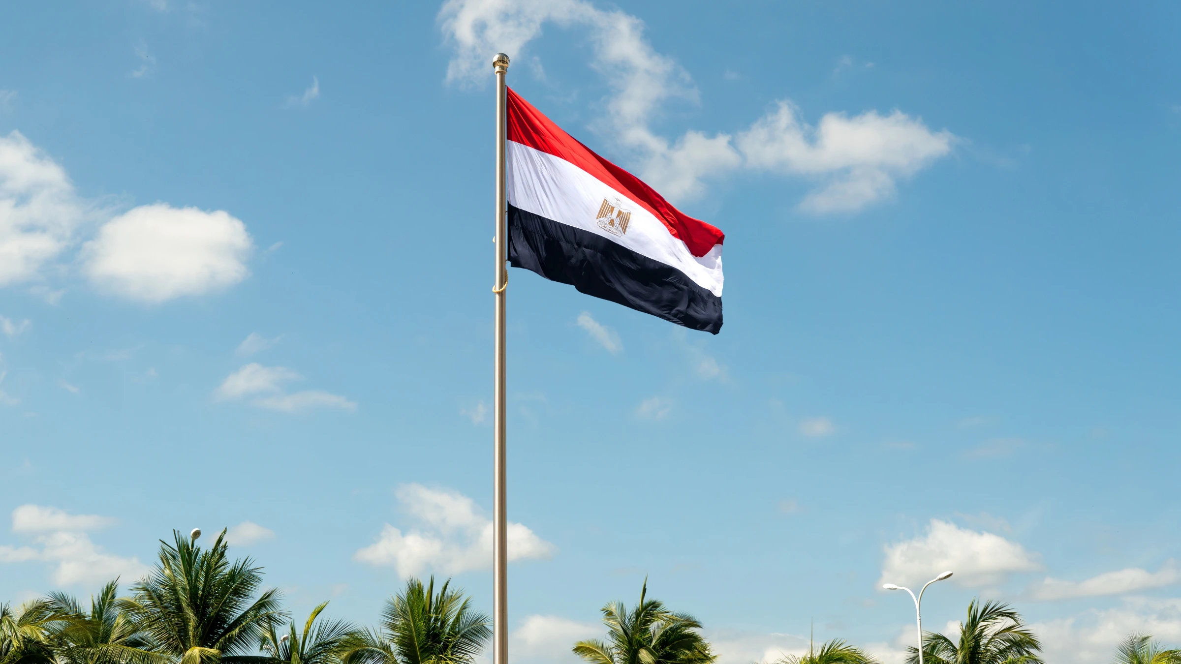 Egyptian national flag flying on a flagpole against blue sky and palm trees