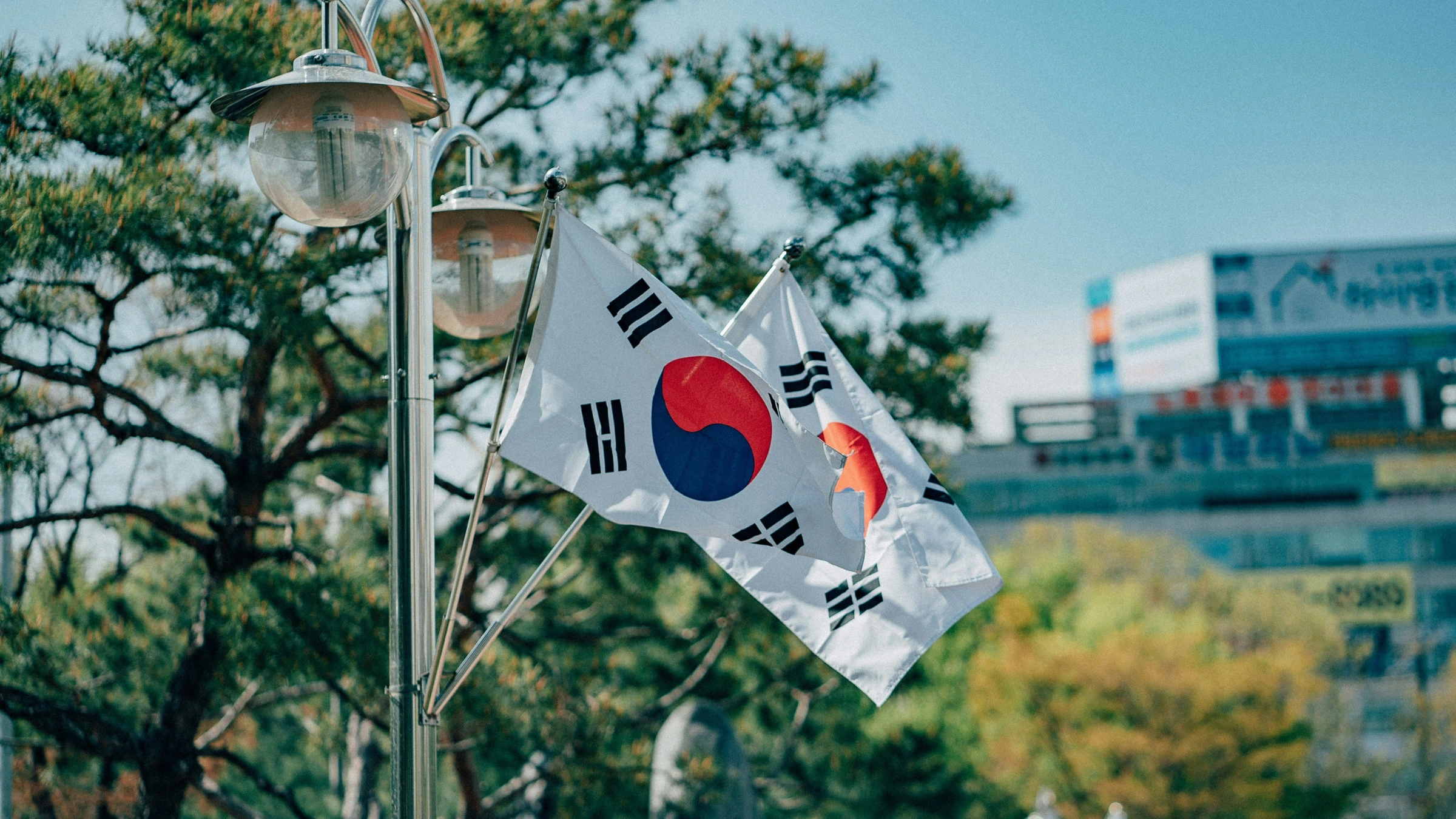 South Korean national flags displayed on street poles with trees and buildings in background