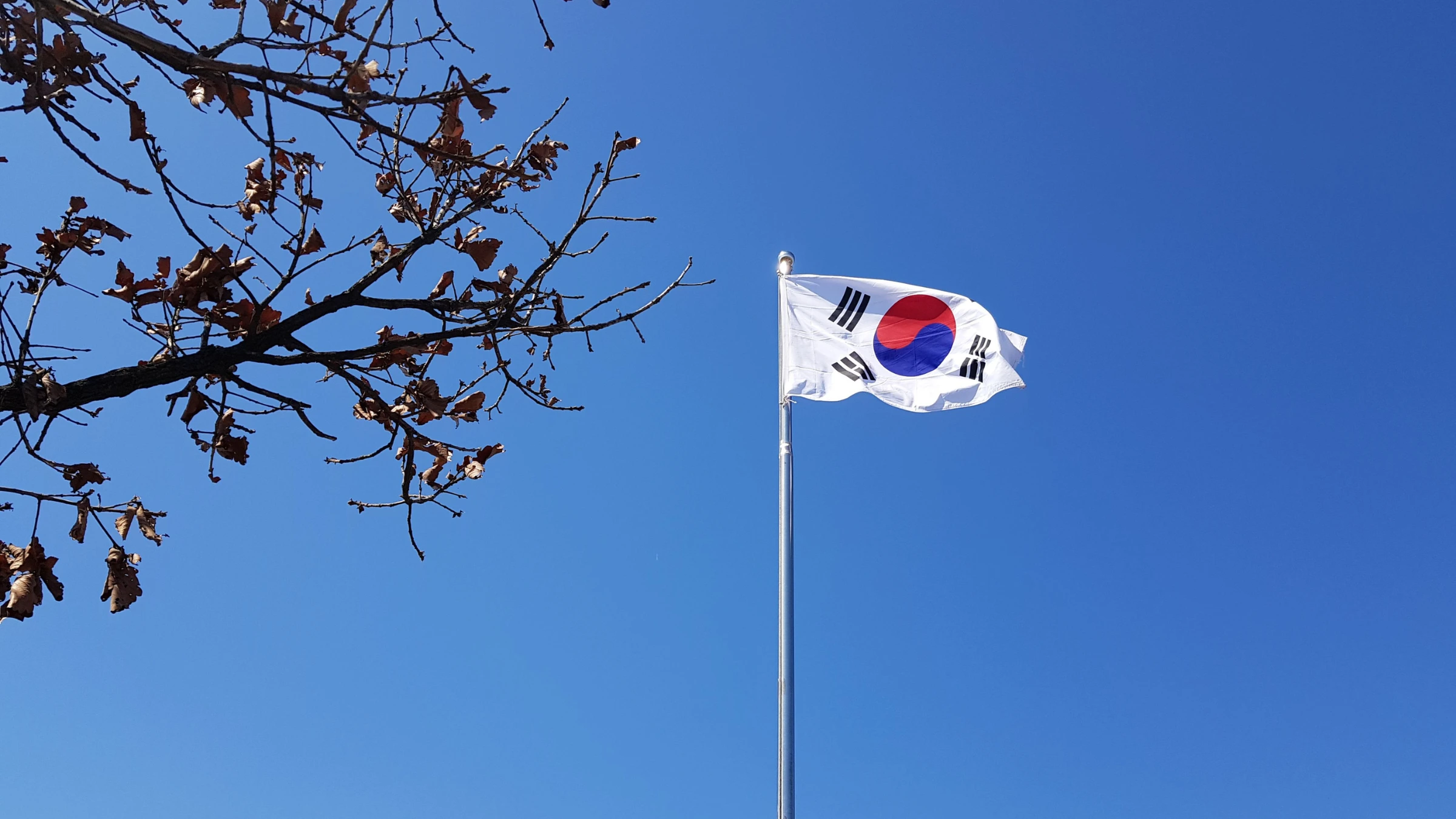 South Korean flag flying on tall flagpole beneath clear blue sky