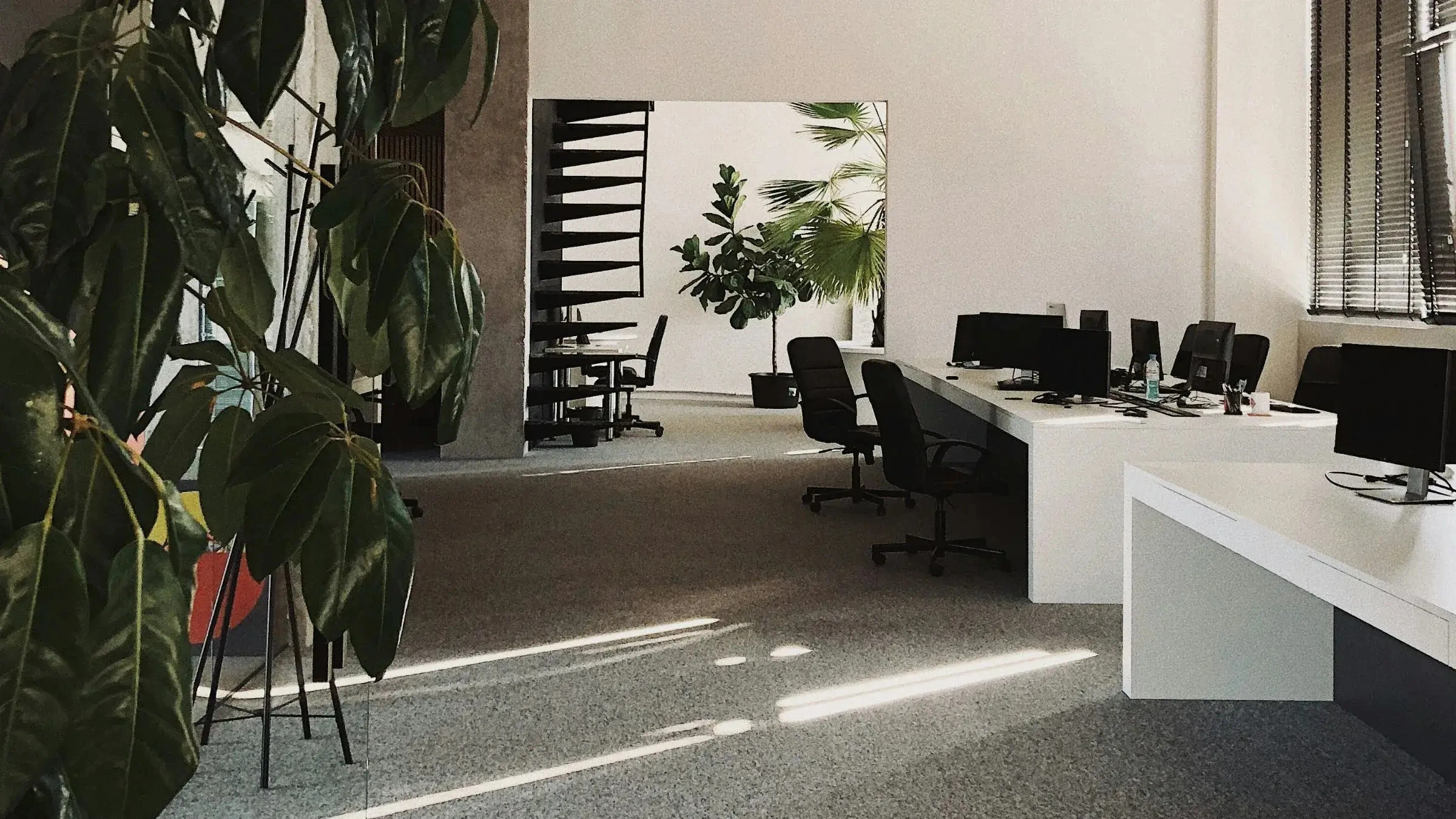 Modern office workspace with desks, computers, chairs and indoor plants in an open-plan layout.