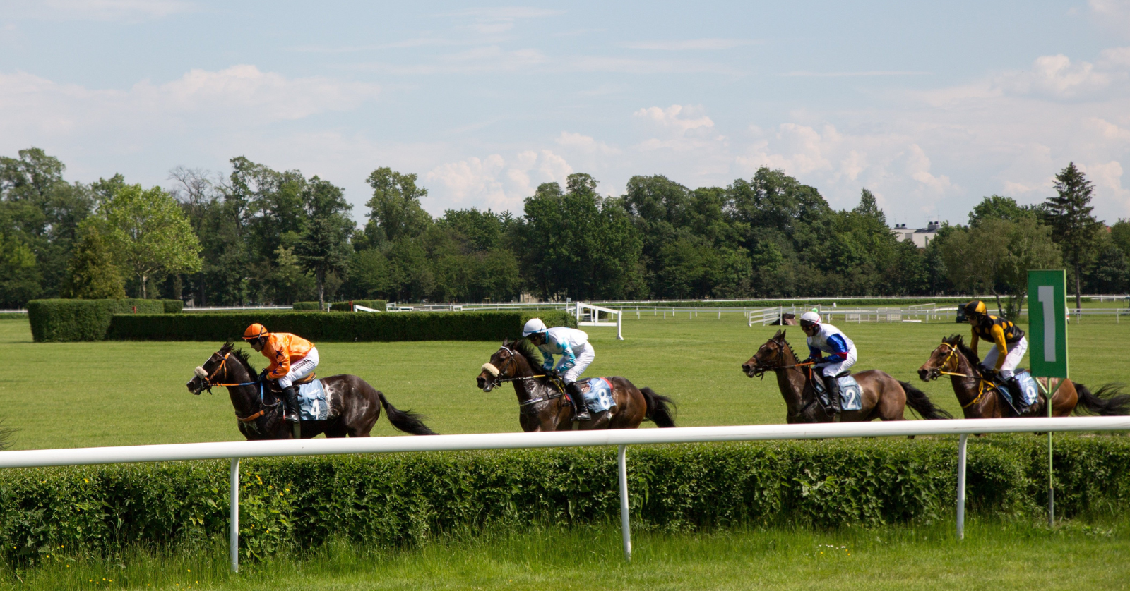 British horse racing faces uncertain future